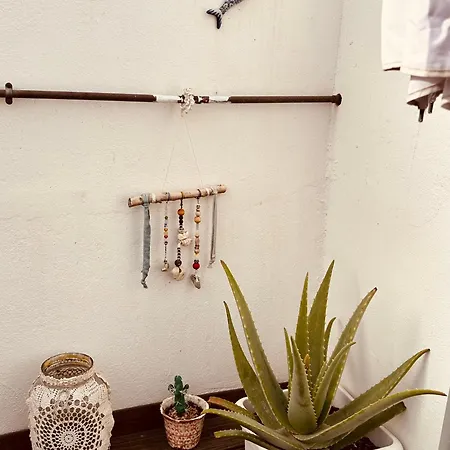 Casa Reformada En Casco Antiguo Apartment